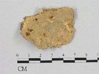 登錄號:F0009343藏品圖，第3張