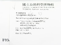 登錄號:F0009344藏品圖，第2張