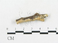 登錄號:F0009344藏品圖，第3張