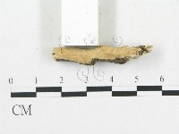 登錄號:F0009344藏品圖，第4張