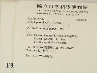 登錄號:F0009345藏品圖，第2張