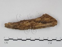 登錄號:F0009345藏品圖，第3張