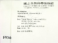 木層孔菌屬藏品圖，第2張