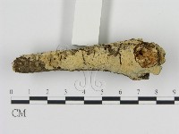 登錄號:F0009347藏品圖，第1張