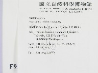 登錄號:F0009351藏品圖，第2張
