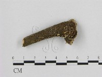 登錄號:F0009351藏品圖，第1張