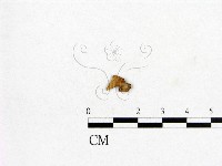 登錄號:F0009353藏品圖，第1張