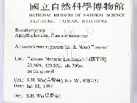 登錄號:F0009354藏品圖，第2張