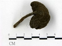 登錄號:F0009354藏品圖，第1張