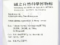登錄號:F0009355藏品圖，第2張