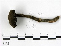 登錄號:F0009355藏品圖，第4張