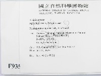 血紅密孔菌藏品圖，第2張