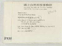 登錄號:F0009358藏品圖，第2張