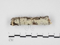 登錄號:F0009358藏品圖，第1張