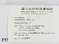 登錄號:F0009361藏品圖，第2張