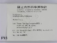 絲皮菌屬藏品圖，第2張