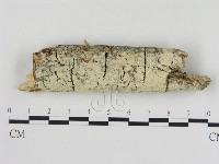 登錄號:F0009363藏品圖，第1張