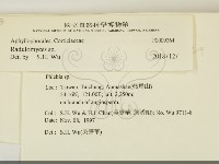 登錄號:F0009364藏品圖，第2張