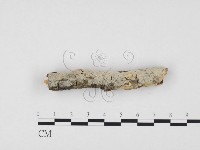 登錄號:F0009365藏品圖，第1張