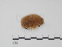 登錄號:F0009367藏品圖，第3張