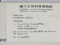 登錄號:F0009371藏品圖，第2張