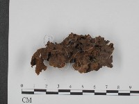 登錄號:F0009371藏品圖，第3張