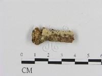 登錄號:F0009372藏品圖，第1張