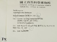 登錄號:F0009373藏品圖，第2張