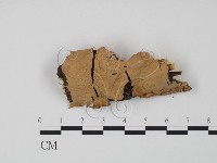 登錄號:F0009373藏品圖，第1張