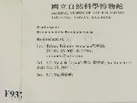 刺革菌屬藏品圖，第2張