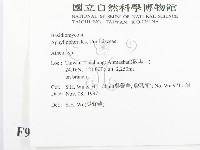 阿太菌屬藏品圖，第2張