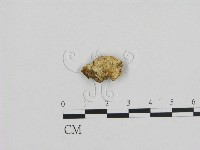 登錄號:F0009381藏品圖，第1張