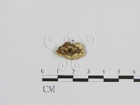 登錄號:F0009381藏品圖，第3張