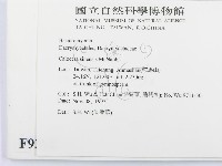 登錄號:F0009382藏品圖，第2張