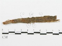 登錄號:F0009382藏品圖，第3張