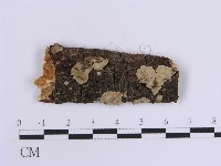 登錄號:F0009383藏品圖，第1張