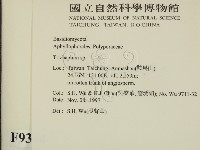 附毛菌屬藏品圖，第2張