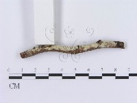 登錄號:F0009385藏品圖，第3張