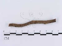 登錄號:F0009385藏品圖，第5張