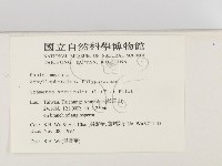 雲芝藏品圖，第2張