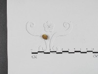 登錄號:F0009388藏品圖，第3張