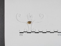 登錄號:F0009388藏品圖，第1張