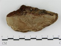 登錄號:F0009390藏品圖，第1張