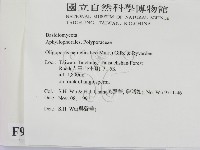 登錄號:F0009392藏品圖，第2張