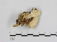 登錄號:F0009392藏品圖，第1張
