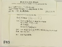 登錄號:F0009395藏品圖，第2張