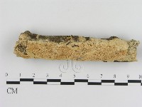 登錄號:F0009395藏品圖，第1張