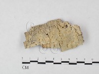 登錄號:F0009396藏品圖，第1張