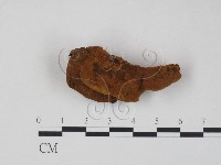 登錄號:F0009397藏品圖，第1張