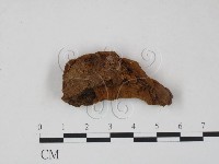 登錄號:F0009397藏品圖，第3張
